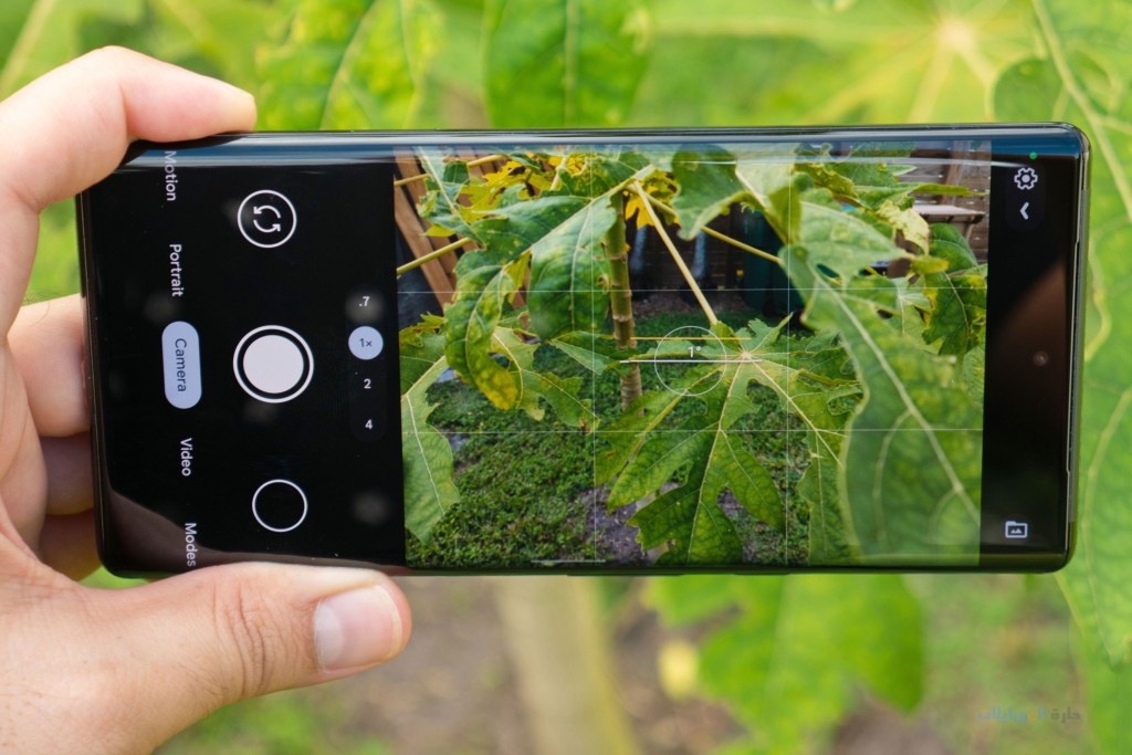 مراجعة جودة الكاميرا الخلفية في هاتف google pixel 6 pro