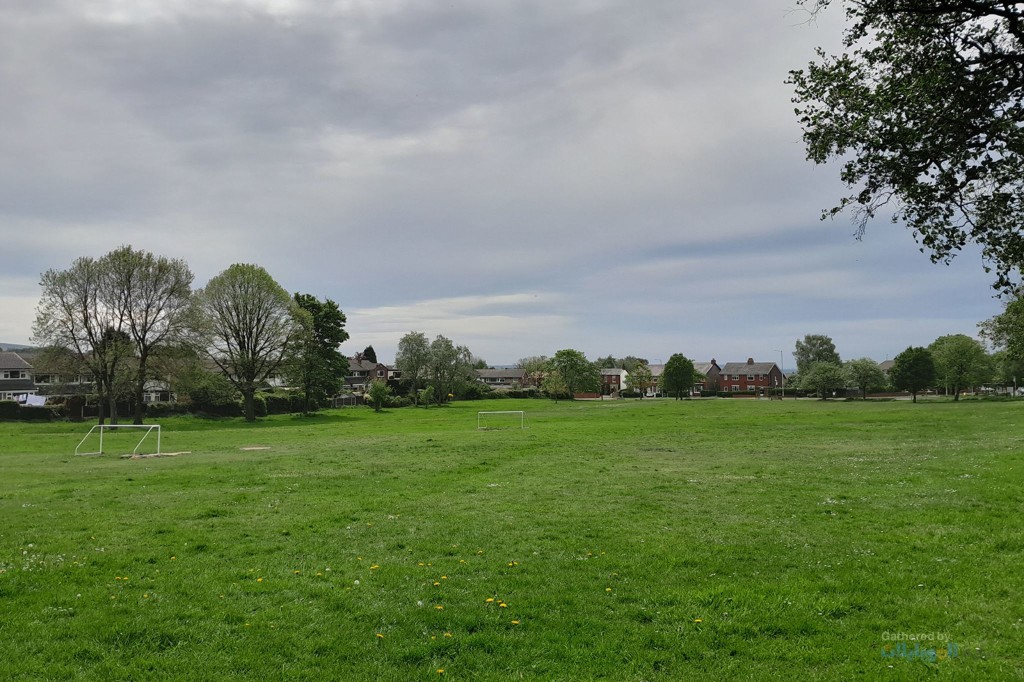 مراجعة هاتف Samsung Galaxy A13