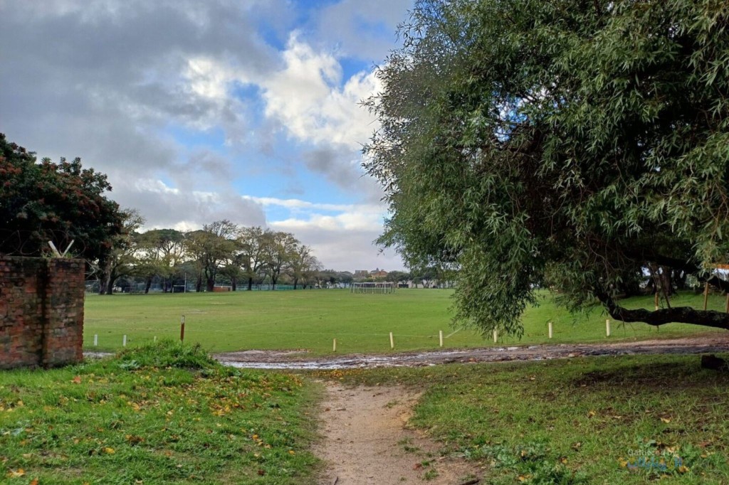 مراجعة هاتف Samsung Galaxy A34 