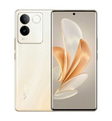 vivo s17e