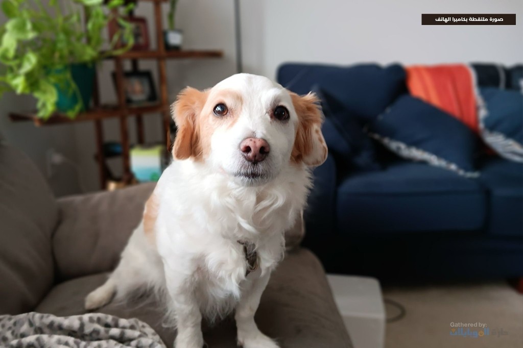 مراجعة هاتف Samsung Galaxy A14