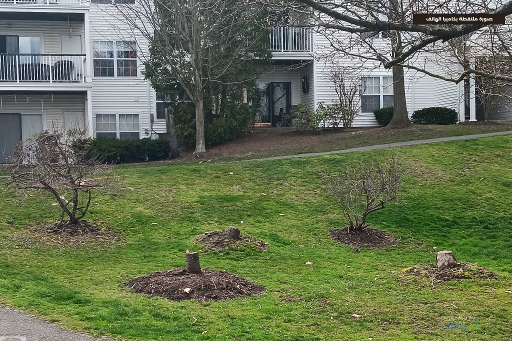 مراجعة هاتف Samsung Galaxy A14