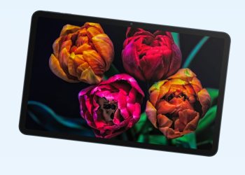 هونر تعود مرة آخرى الي الهند