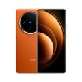 vivo X100