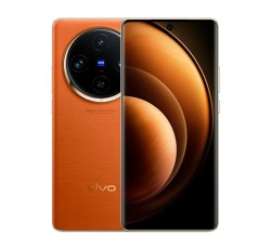 vivo X100