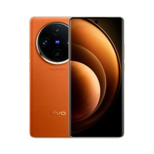 vivo X100
