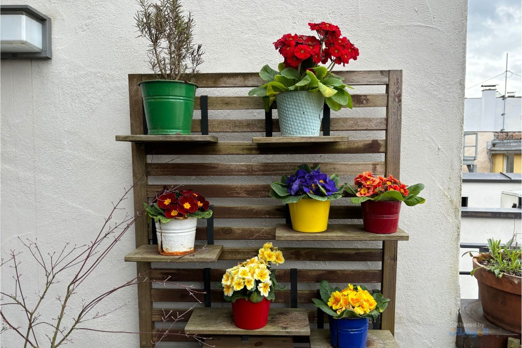 صورة ملتقطة بهاتف Lenovo Tab M11