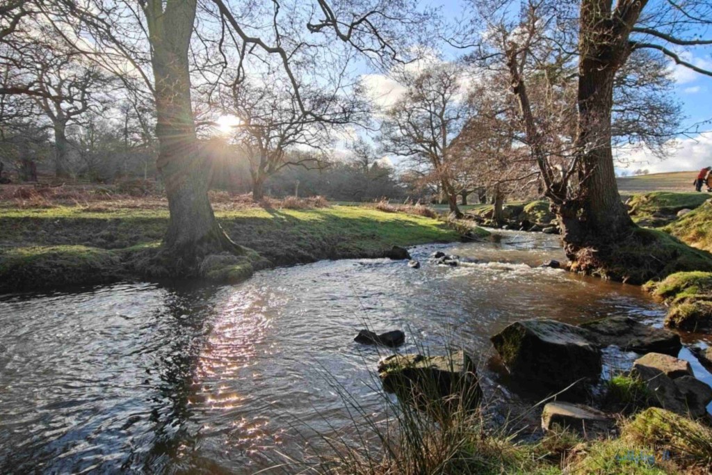 صورة ملتقطة بهاتف Oppo Find X7 Ultra