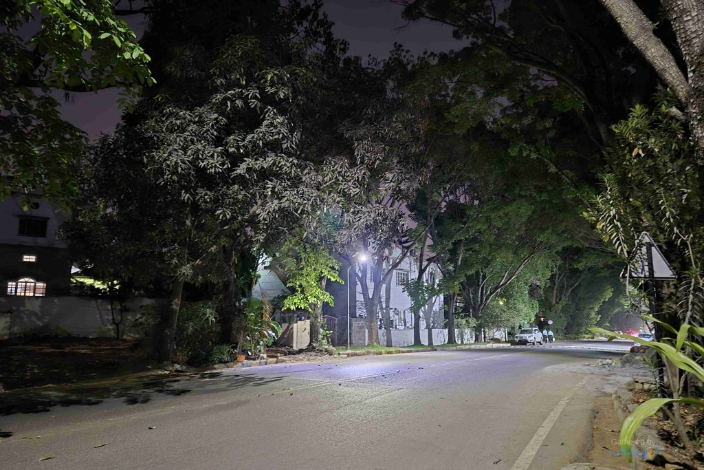 صورة ملتقطة بهاتف Samsung Galaxy S24 