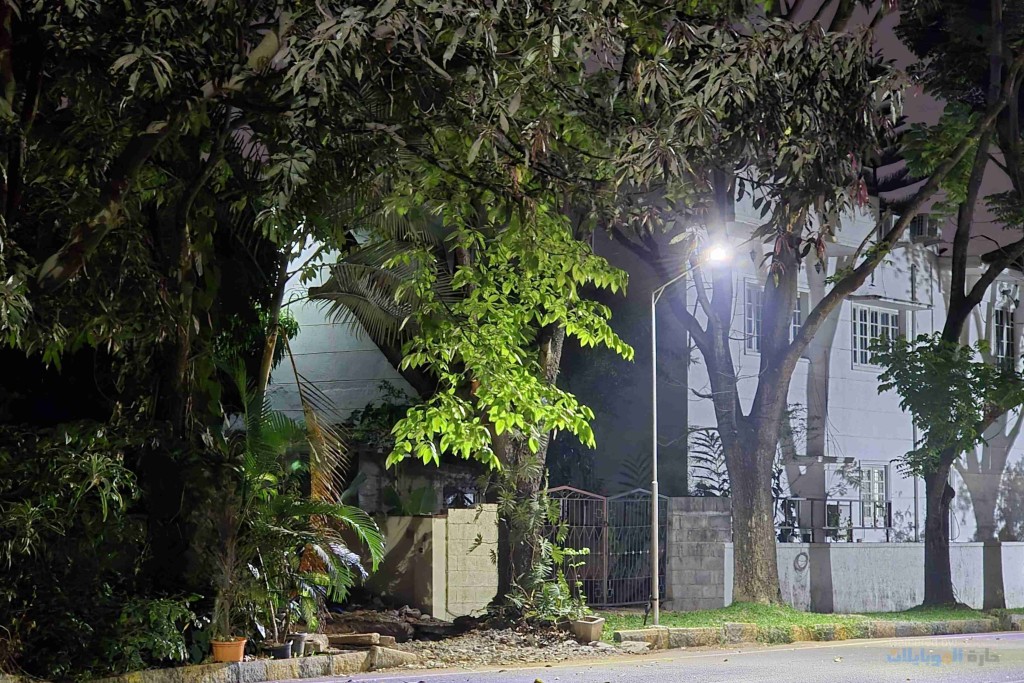 صورة ملتقطة بهاتف Samsung Galaxy S24 