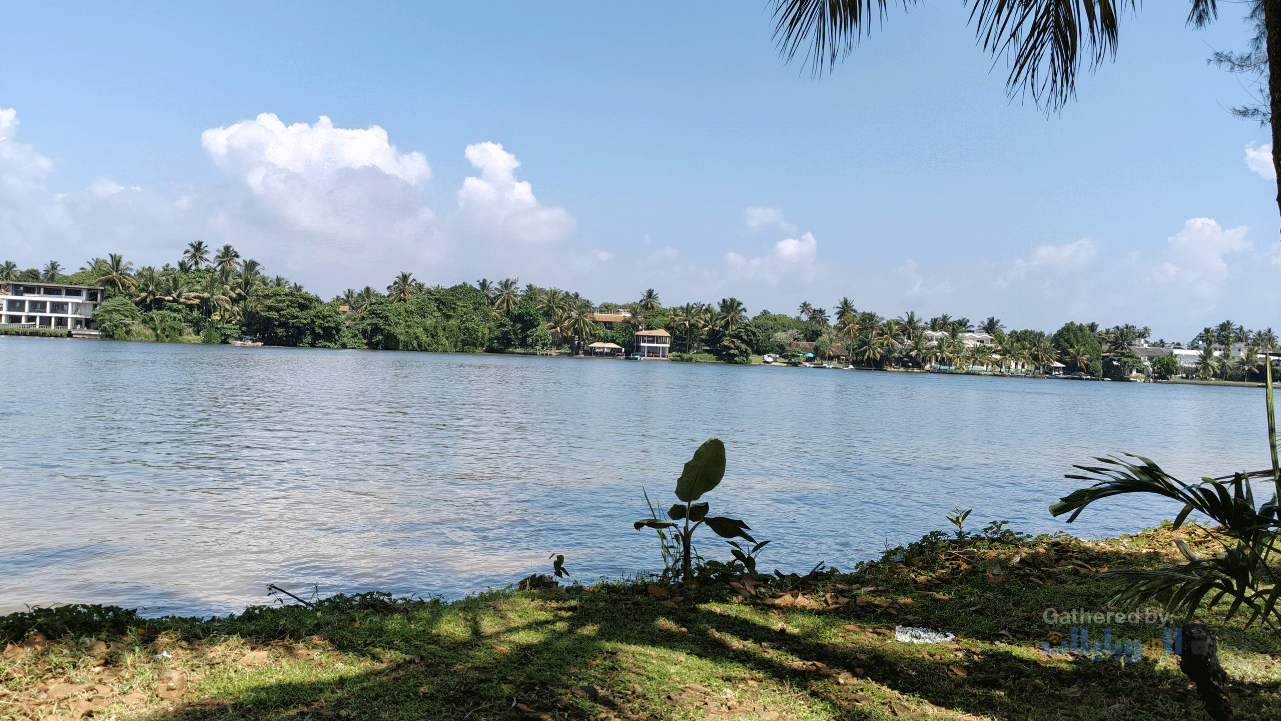 صورة ملتقطة بكاميرا الهاتف