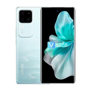 vivo V30