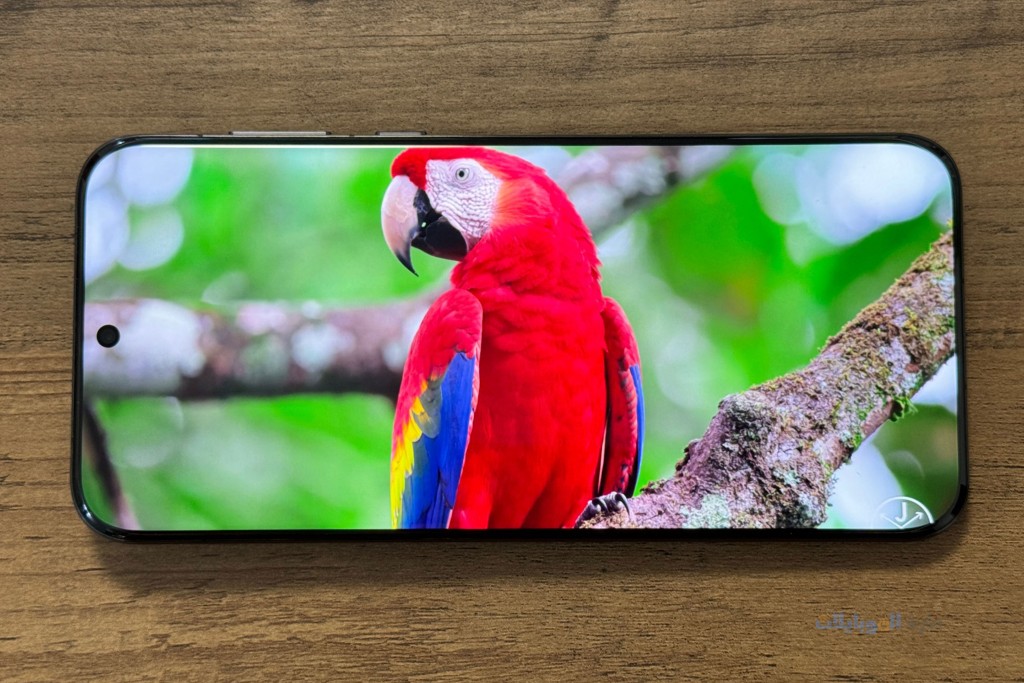 مراجعة شاشة هاتف huawei pura 70 pro