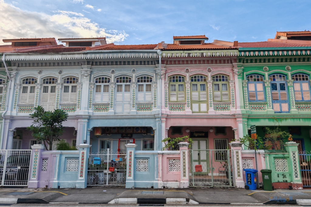 صورة ملتقطة بهاتف Honor 200 