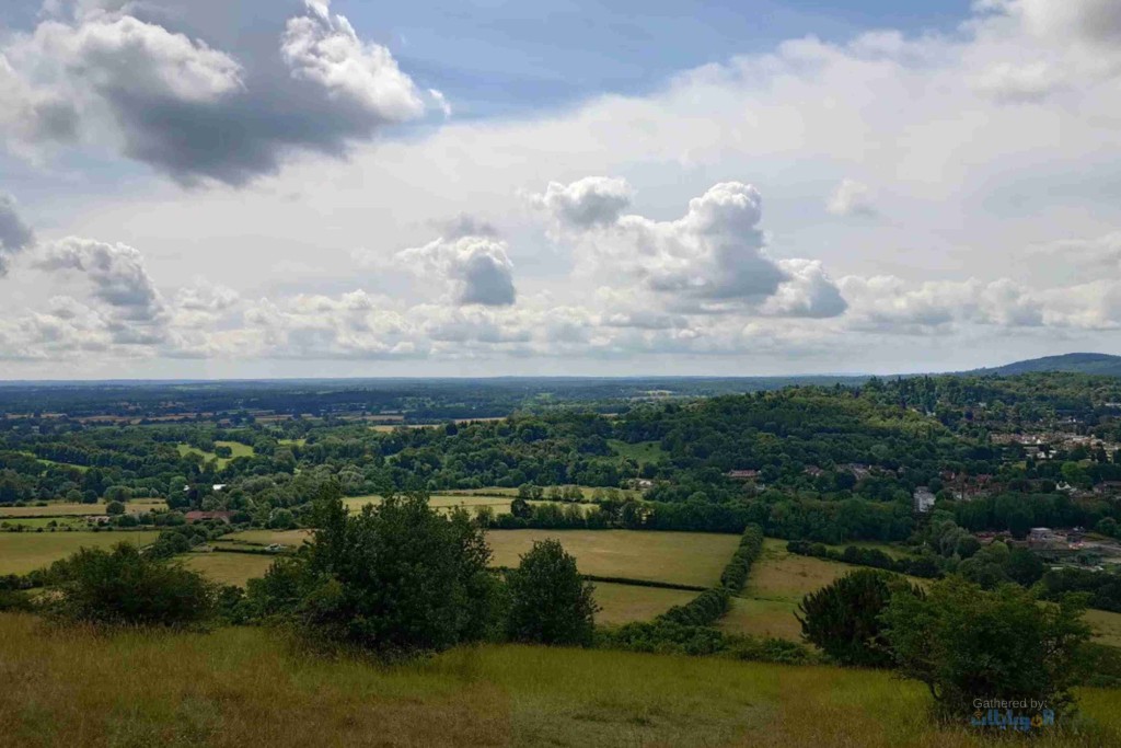 صورة ملتقطة بهاتف sony xperia 1 vi