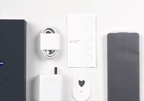 vivo X100s