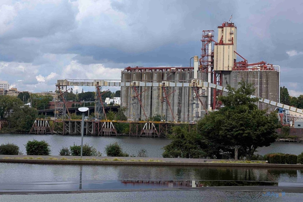 صورة ملتقطة بهاتف Google Pixel 9 Pro XL