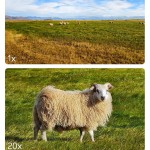 صور كاميرا سلسلة x200 3