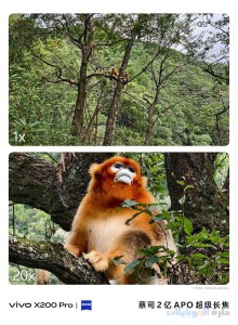 صور كاميرا سلسلة x200 4