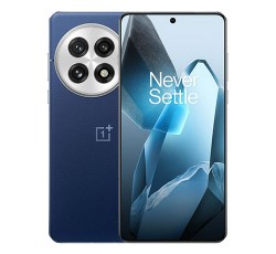 oneplus 13