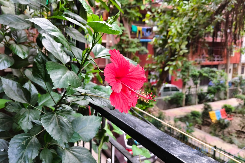 مراجعة جودة تصوير كاميرا vivo y400 pro