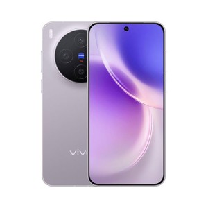 vivo X300