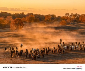 صورة 1 ملتقطة من كاميرات هواوي mate 80