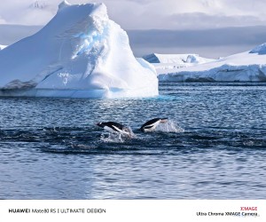 صورة 3 ملتقطة من كاميرات هواوي mate 80